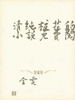 清纯校花的秘密小说免费阅读