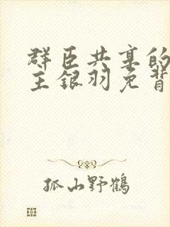 群臣共享的小公主银羽免背刺