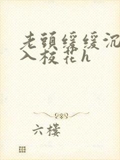 老头缓缓沉腰进入校花h