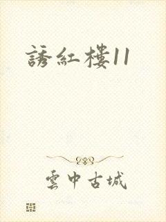 诱红楼11