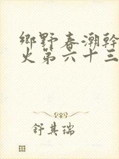 乡野春潮干柴烈火第六十三章