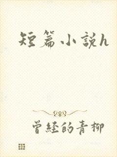 短篇小说h