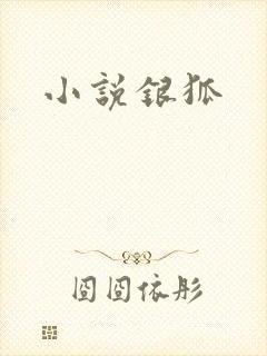 小说银狐