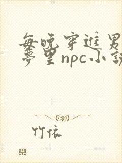 每晚穿进男神的梦里npc小说