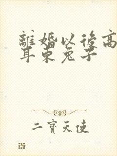 离婚以后高干 耳东兔子