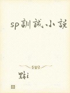 sp训诫小说