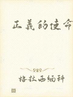 正义的使命小说