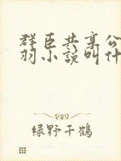 群臣共享公主银羽小说叫什么