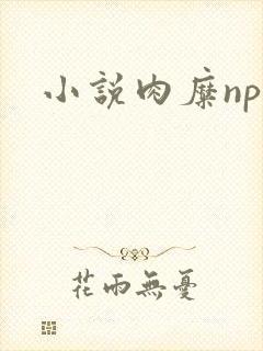 小说肉糜np