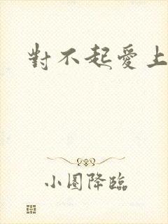 对不起爱上你封面