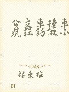 公交车后车座的疯狂的做小