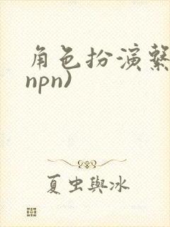 角色扮演系统(npn)