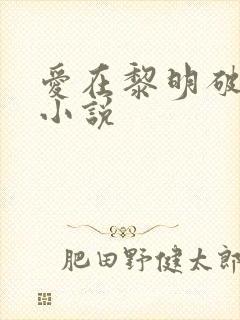 爱在黎明破晓前小说