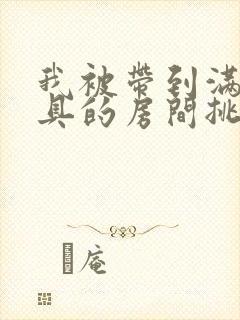 我被带到满是玩具的房间挑调游戏