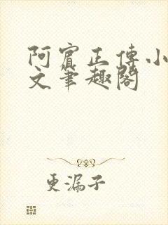 阿宾正传小说全文笔趣阁