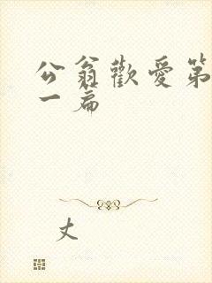 公翁欢爱第三十一篇