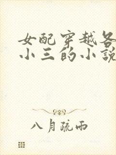 女配穿越各个做小三的小说