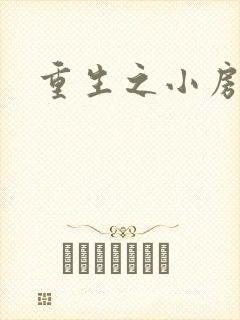 重生之小房东