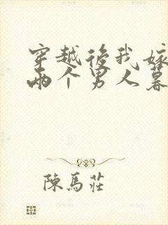 穿越后我嫁给了两个男人暮色酒歌