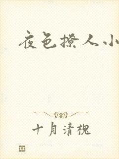 夜色撩人小说