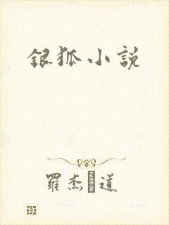 银狐小说