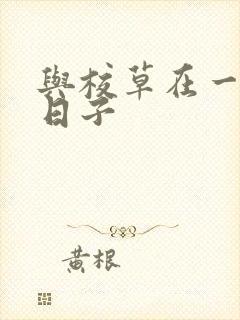 与校草在一起的日子