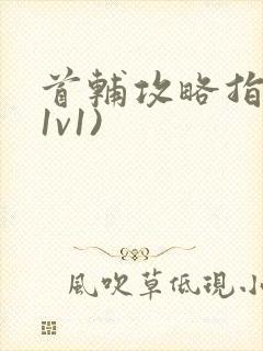 首辅攻略指南(1v1)