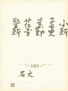 警花叶柔小说最新章节更新