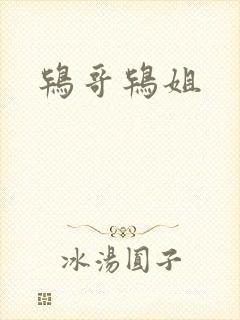 鸨哥鸨姐