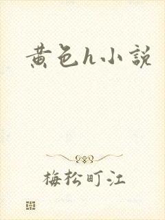 黄色h小说