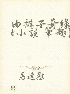 内裤子奇缘txt小说 笔趣阁