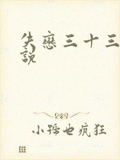 失恋三十三天小说