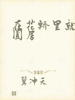 在花轿里就开始圆房