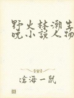 野火林潮生林晚晚小说人物野火