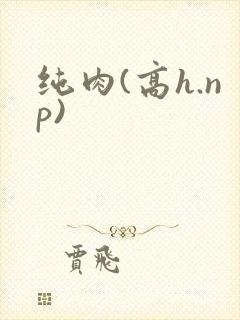 纯肉(高h.np)