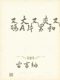 又大又爽又黄无码A片男和男