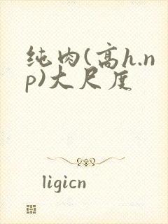 纯肉(高h.np)大尺度