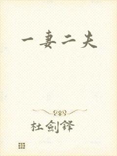 一妻二夫