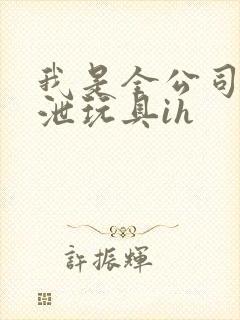 我是全公司的发泄玩具ih