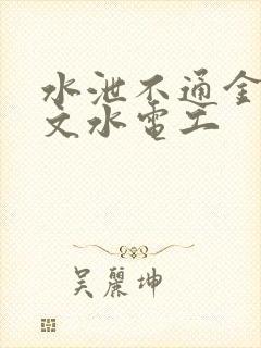 水泄不通金银原文水电工