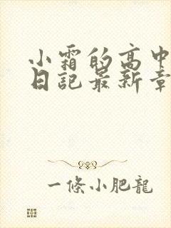 小霜的高中成长日记最新章节