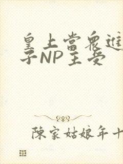 皇上当众进入太子NP主受