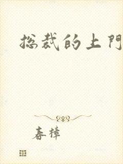 总裁的上门女婿