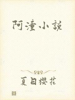 阿潼小说