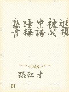 熟睡中被进了H青梅诱哄视频