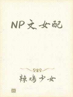 NP文女配