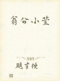 翁公小莹