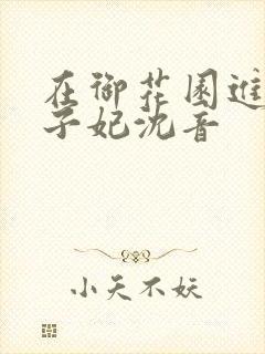 在御花园进入太子妃沈音