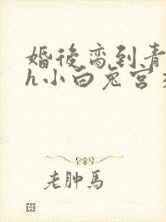 婚后脔到青梅哭h小白兔宫交h