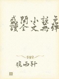 盛开小说免费阅读全文无弹窗